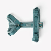 Blue - Velvet Dog Harness 