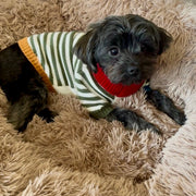 Christmas Retro Striped Dog Sweater