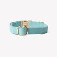Load image into Gallery viewer, 'Blue' - Canvas Dog Collar 
