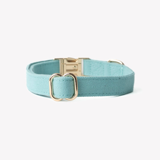 'Blue' - Canvas Dog Collar 