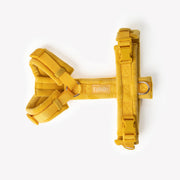 Yellow - Velvet Dog Harness 