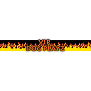 Personalized Red Flames Dog Collar