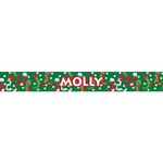 Personalized Christmas Stockings Dog Collar