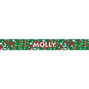 Personalized Christmas Stockings Dog Collar