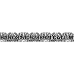 Personalized Damask Dog Collar