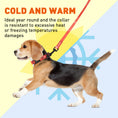 Load image into Gallery viewer, Biothane Service Dog Collar Or Leash
