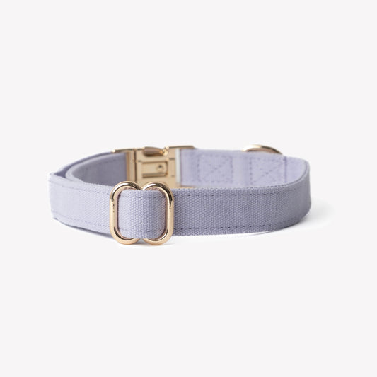 'Lavender' - Canvas Dog Collar 