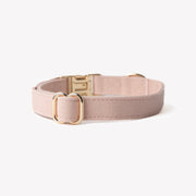'Powder Rose' - Canvas Dog Collar 
