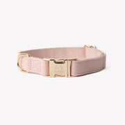 'Powder Rose' - Canvas Dog Collar 