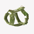 Load image into Gallery viewer, Green - Velvet Dog Harness 
