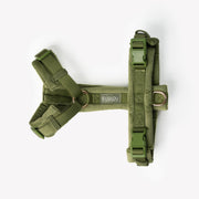 Green - Velvet Dog Harness 