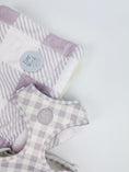 Load image into Gallery viewer, Sugar Plum Dog Blanket
