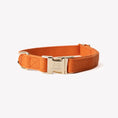 Load image into Gallery viewer, 'Terracotta' - Canvas Dog Collar 
