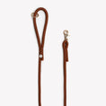 Load image into Gallery viewer, 'Clay' - Braided Rope Leash 
