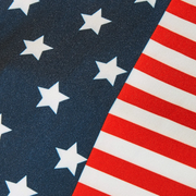 Patriotic Stars & Stripes Dog Shirt