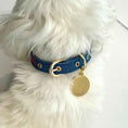 Load image into Gallery viewer, Personalized Collar

