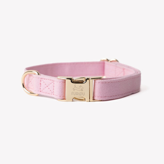 'Pink' - Canvas Dog Collar 