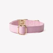 'Pink' - Canvas Dog Collar 