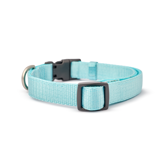 DOGISTRY City Collar - Fifth Avenue