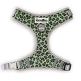 Load image into Gallery viewer, The Modern Dog Company - Walk on the Wild Side Harness

