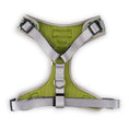 Load image into Gallery viewer, The Modern Dog Company - Walk on the Wild Side Harness
