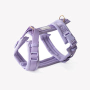 Lavender - Comfort Dog Harness 
