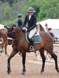 Load image into Gallery viewer, Jump Saddle Pad | Green- Black & White

