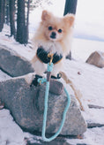 Load image into Gallery viewer, LEASH - DESERT MINT
