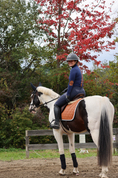 Load image into Gallery viewer, Jump Saddle Pad | Cognac
