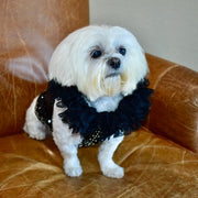 C’Mimi Designer Couture “Elektra” Dog Party Dress