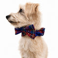 Load image into Gallery viewer, "Bunchie" Bow Scrunchie Collar
