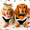 Load image into Gallery viewer, BOW TIE - DARK NIGHT
