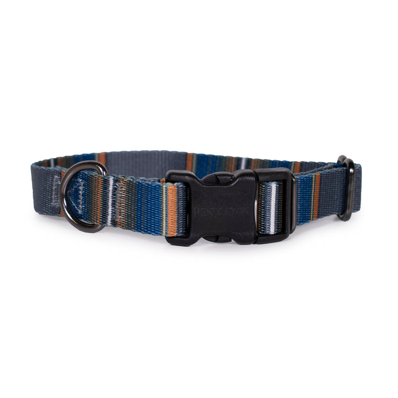 Pendleton National Park Adventure Collar - Dog Collar by Carolina Pet Co.