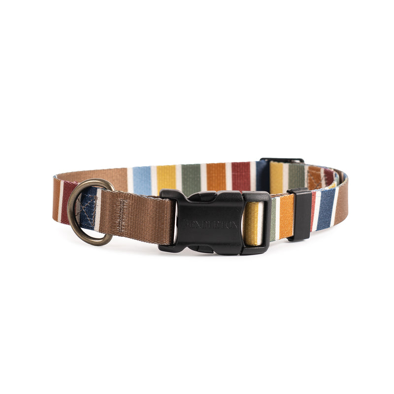 Pendleton National Park Adventure Collar - Dog Collar by Carolina Pet Co.