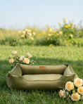 Load image into Gallery viewer, Bolster Beds Premium Chester & Lee | Vibrant Velvet Sleeper Dog Bed Olive
