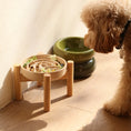 Load image into Gallery viewer, [Spark] Slow Feeder Dog Bowls - Red / Green / Blue
