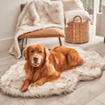 Load image into Gallery viewer, PupRug Faux Fur Orthopedic Dog Bed - Curve White with Brown Accents
