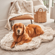 PupRug Faux Fur Orthopedic Dog Bed - Curve White with Brown Accents