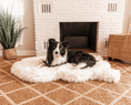 Load image into Gallery viewer, PupRug by Paw.com™ Faux Fur Orthopedic Dog Bed - Curve Polar White
