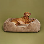 The Sammy Dog Bed
