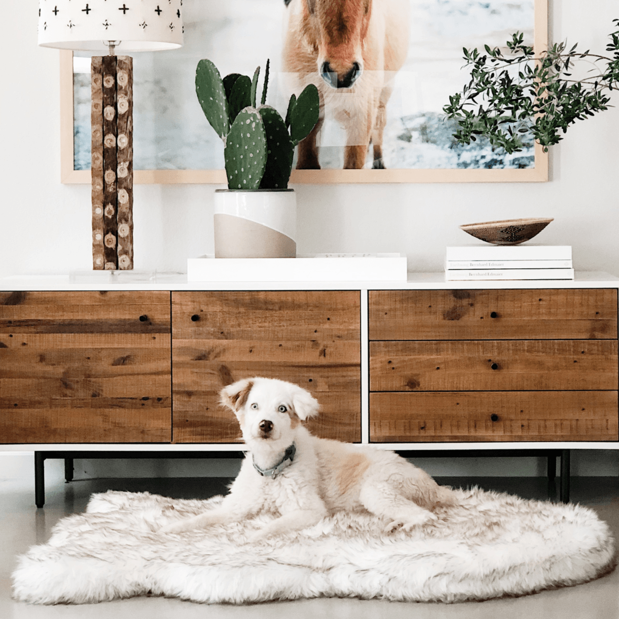 PupRug Faux Fur Orthopedic Dog Bed - Curve White with Brown Accents