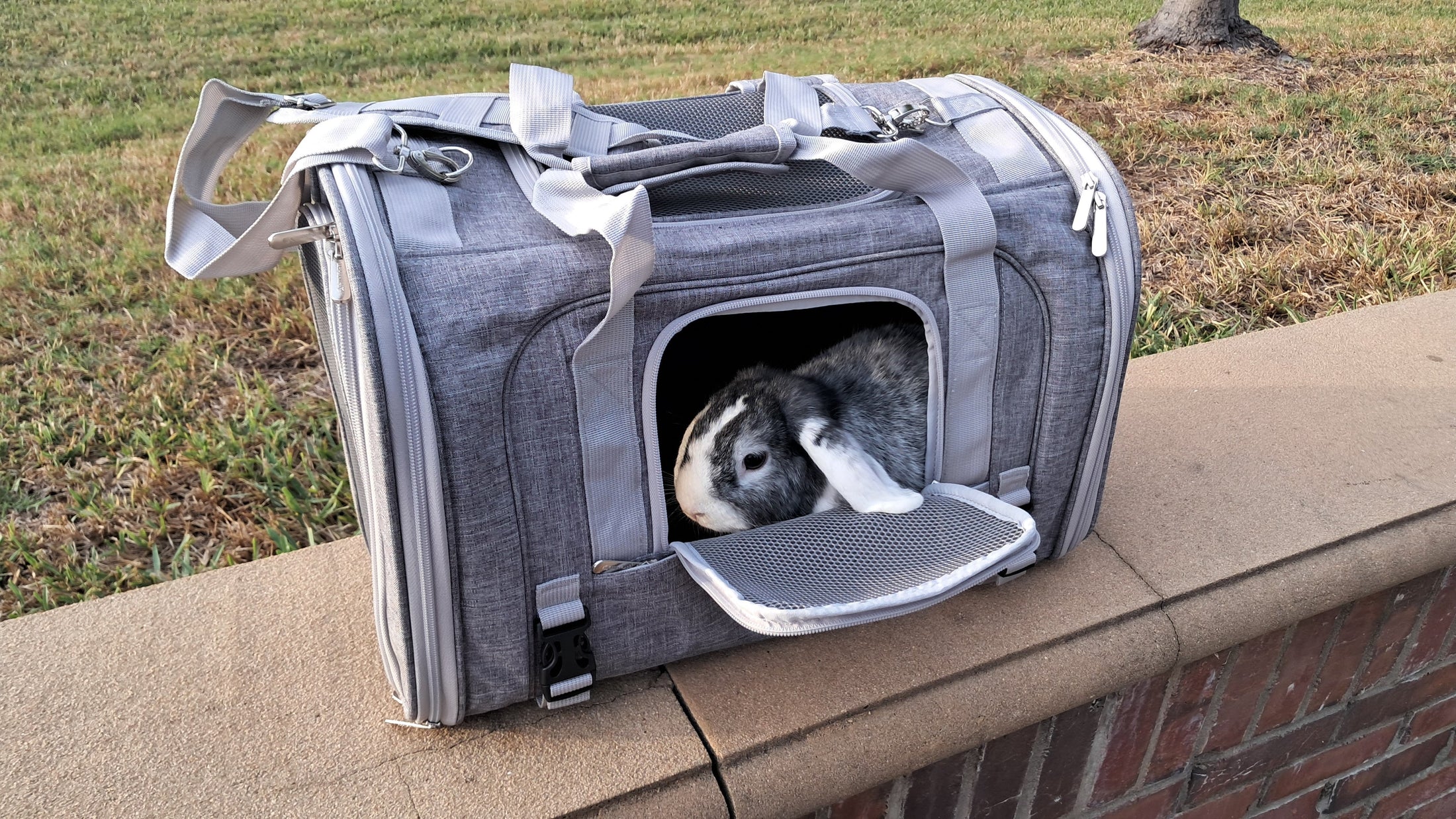 Mr. Peanut's Monterey Series Airline Compliant Horizontal Backpack Pet Carrier - Southlake Paws