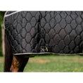 Load image into Gallery viewer, TuffRider Shelter Closed Front HeavyWeight Stable Blanket - image 5
