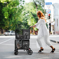 Load image into Gallery viewer, 4-in-1 Double Pet Stroller with Detachable Carrier and Travel Carriage

