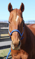 Load image into Gallery viewer, TuffRider Nylon Breakaway Halter & Lead Rope Set - image 33
