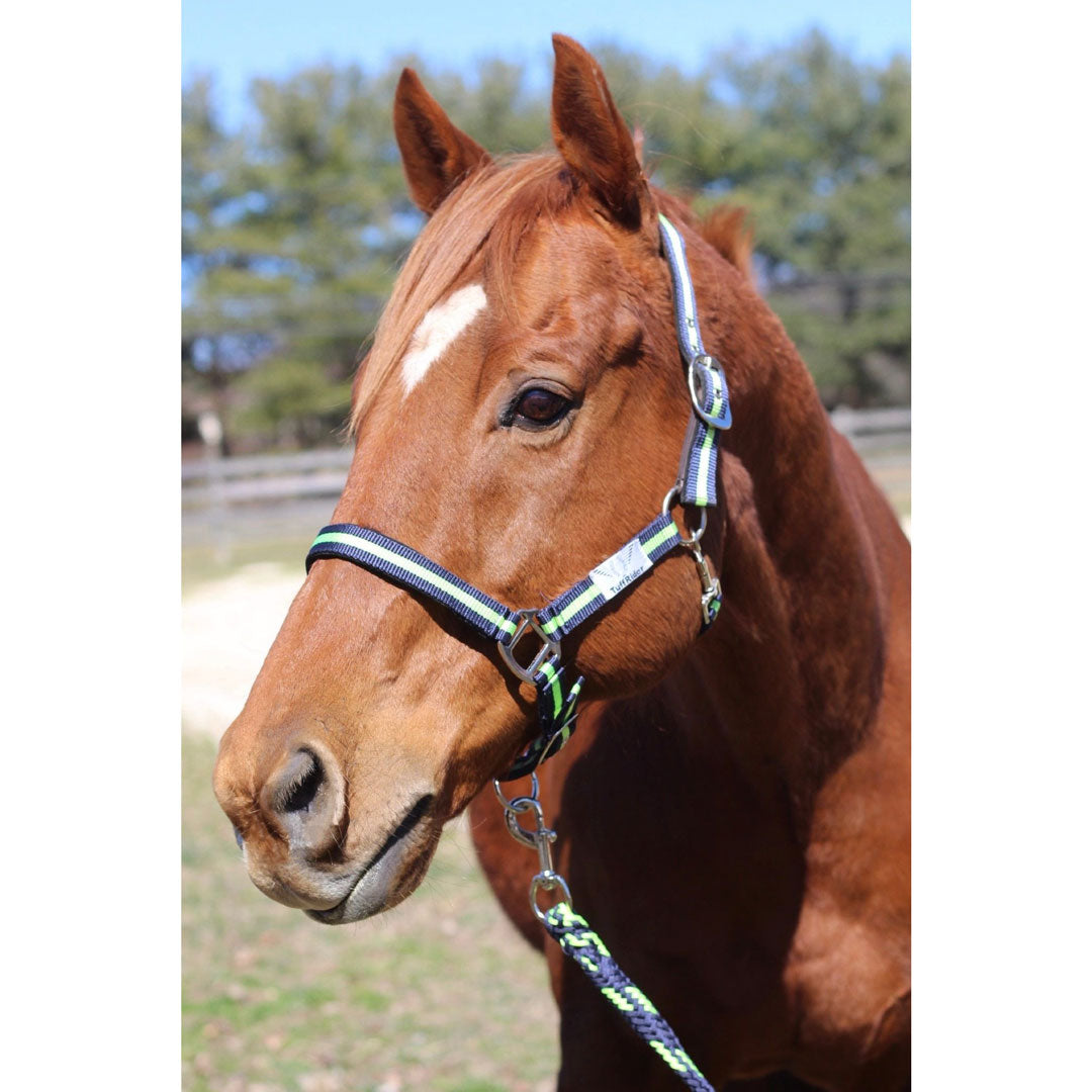 TuffRider Nylon Breakaway Halter & Lead Rope Set - image 2
