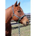 Load image into Gallery viewer, TuffRider Nylon Breakaway Halter & Lead Rope Set
