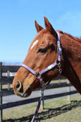 Load image into Gallery viewer, TuffRider Nylon Breakaway Halter & Lead Rope Set - image 27
