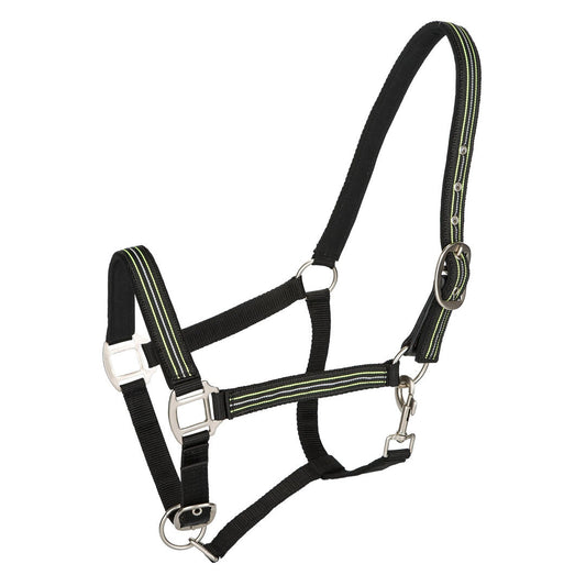 TuffRider Adjustable Nylon Breakaway Halter w/ Padded Crown and Nickel Hardware - image 2