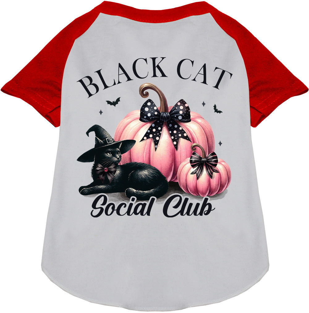 Pink and Black Cat Social Club Pet Raglan Shirt